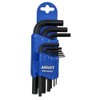 ARNDT Germany 9PCS Hex Key Set | Regular Metric Allen