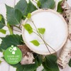 Pure Via Pure Via Xylitol 1kg - Plant Based, Vegan