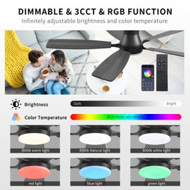 54inch Ceiling fans with Lights, Low Profile RGB Ceiling fan with Light and Remote/App Control, Dimmable, DC Reversible Motor, Noiseless, 6 Speeds, Black Ceiling Fan For Bedroom Indoor Outdoor