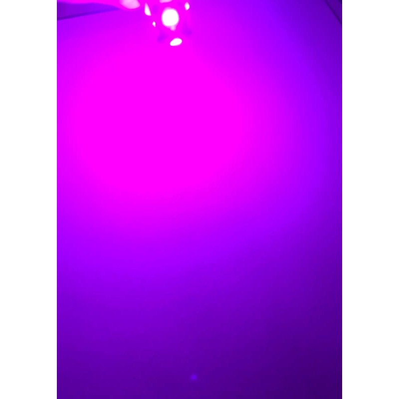 (10)PURPLE 8V-LED LAMP/DIAL/SX-650 SX-580 SX-680 SX-750 SX-450 SX-550 /Pioneer
