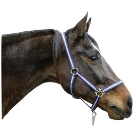 Kerbl Unisex's Hippo Head Collar-Blue, Size 00