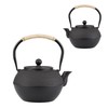 SECHUDO Japanese Tetsubin Cast Iron Teapot Tea Kettle pot with