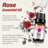 Rose Essential Oil Pure Organic Rose Oil for Diffuser, Perfume,