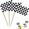 Checkered Black and White Racing Toothpick Flag Race Car Small