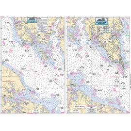 Captain Segull Inshore Potomoc River VA Fishing Nautical Chart