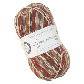 West Yorkshire Spinners WYS Signature 4ply Sock Yarn 941 Robin Norwegian Pattern Look 100 g Christmas Pattern