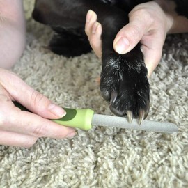 Coastal Coastal Pet Safari Dog Diamond Nail File - Diamond Finish for Smooth Nails - Removes Burs from Outdoor & Indoor Dogs - One Size