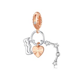 NINGAN Aquarius Pendant Charm Rose Gold 925 Sterling Silver Zodiac Charms,CZ Birthstone Pendant Gifts for Birthday