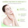 Mascarilla Facial Gel Aloe Vera Natural Unidades