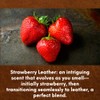 Buyitshipit - Strawberry Leather from Our Leather Collection - Perfect