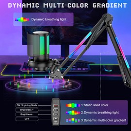 KingSom Gaming USB Micrphone,Noise Cancellation Condenser Mic with RGB Boom Arm,Podcast Microphones RGB Computer Mic,Streaming Microphone with Pop Filter,Mute Button,Gain for Recording,Discord,Youtube