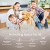 Muse Apothecary Home Ritual Active Odor Eliminator Spray - Furniture