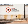 AllesKlaro® - Prohibition Sign - No Dogs Pee - 24