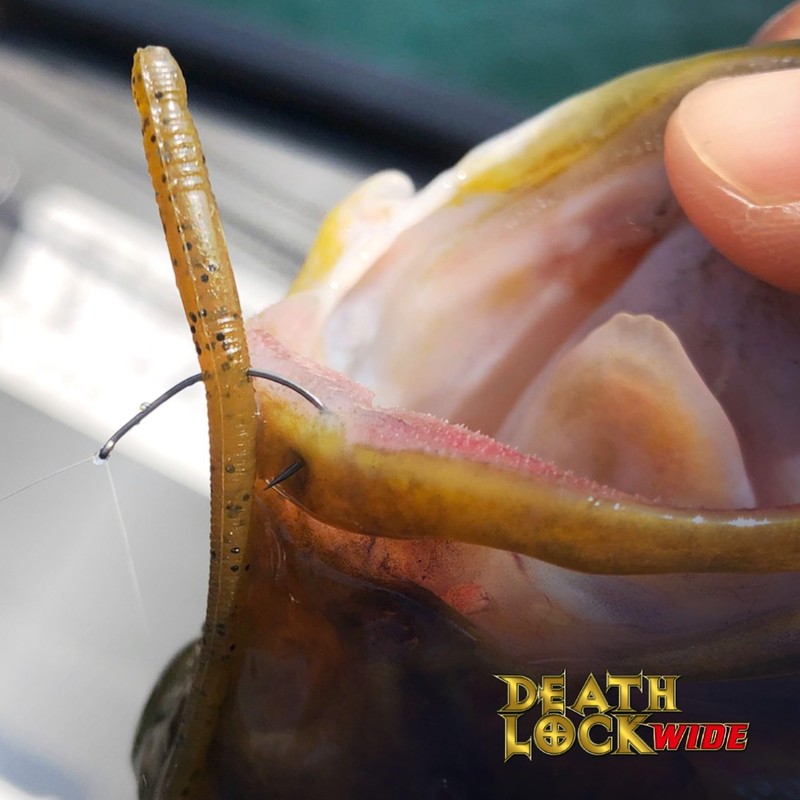 VARIVAS(バリバス) ノガレス デスロック ワイド 2