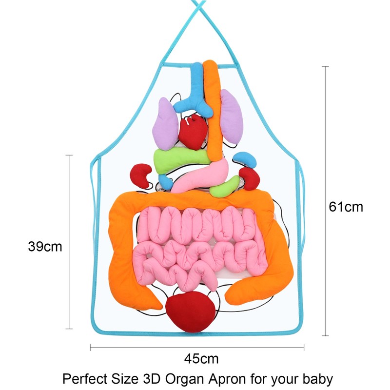 KAKIBLIN 3D Organ Apron,(Upgrade Version) Anatomy Apron Human Body Organs