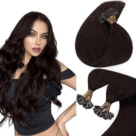 Sunny U Tip Hair Extensions Human Hair Dark Brown Pre Bonded Utip Hair Extensions For Women Brown U Tips Remy Human Hair Extensions Brown Hot Fusion Utips Extensions Soft And Silky Hair 14in 50g 100s