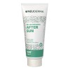 Gel Refrescante After Sun 100 Ml