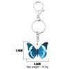 DOWAY Llavero de acrílico Morpho/Morphidae con mariposa, llavero de insectos