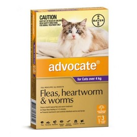 Advocate Buy Advocate For Large Cats Over 4kg 3 Pack Online
