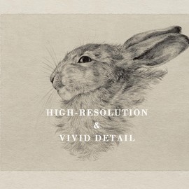 Kizbok Kizbok Neutral Wall Art Decor, Vintage Rabbit Canvas Painting, Farmhouse Decor Bunny Sketch Drawing for Nursery Wall Decor, Antique Rabbit Gallery Wall Art for Bedroom Bathroom Home(8" x 10"-UNFRAMED)