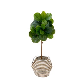 Nearly Natural 3.5ft. Artificial Fiddle Leaf Fig Tree with Handmade Cotton & Jute Basket with Tassels DIY KIT