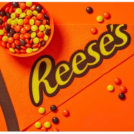 Peanut Butter Pieces Candy in a Crunchy Shell Bulk 16 OZ Pack