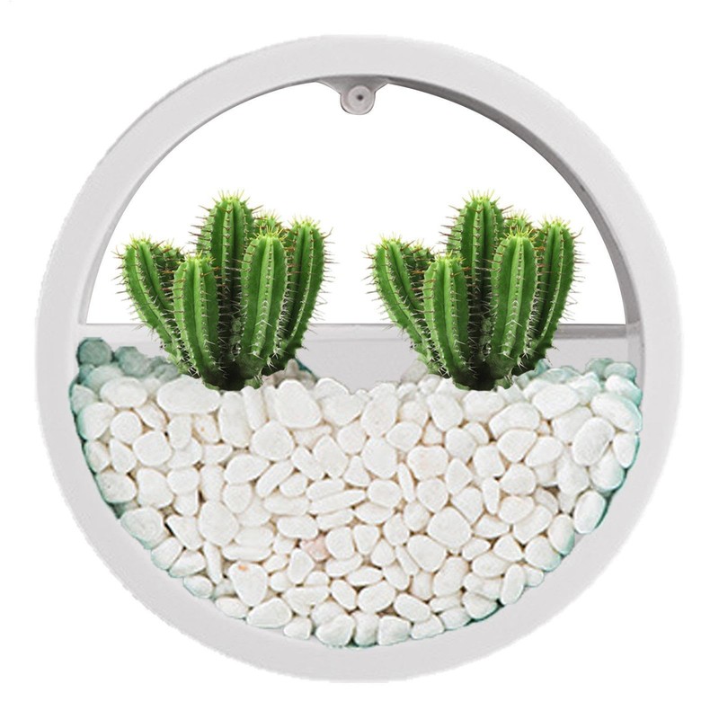 Round Wall Planter - Clear Vase Air Plants Holders |