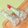 ChasCoCo Lipstick Tube Lipstick Container 1 Pack Lip Balm Tube