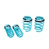 Godspeed LS-TS-NN-0014 Traction-S Performance Lowering Springs, Improve Overall Handling And