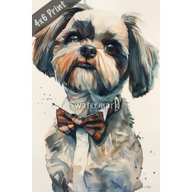 Gangster dog Shih Tzu with bow tie watercolor Art 4x6 Print