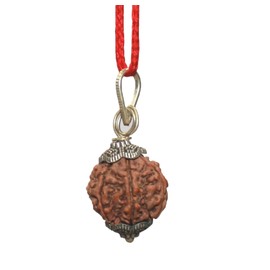 IndianStore4All 6 Mukhi Nepal Rudraksha Penadnt 100% Original Six Face Rudraksha