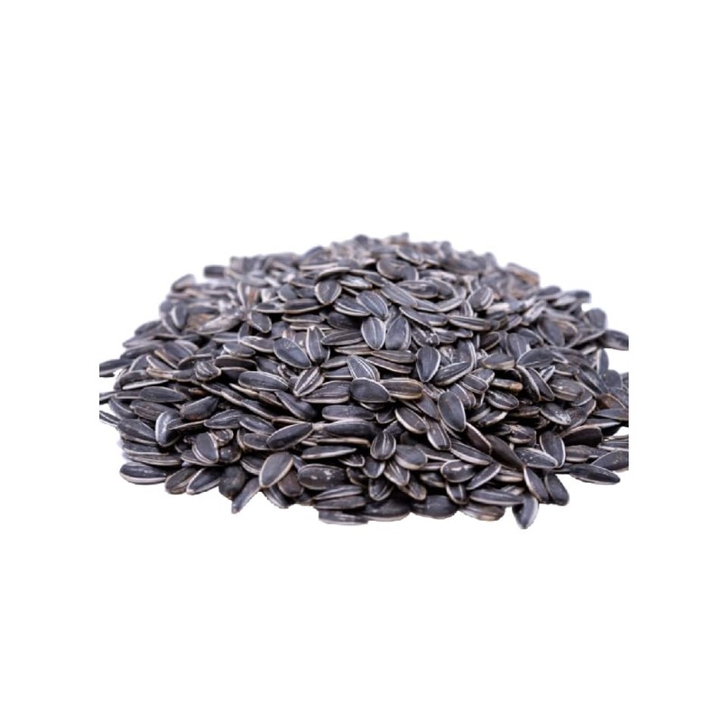 Jumbo Salted and Roasted Sunflower Seeds in Shell, 5.25 oz