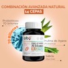 Probioticos 70 Billones de 14 Cepas Prebioticos Inulina de Agave