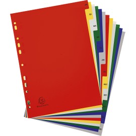 Exacompta - Ref 92E - PP Printed Indices - For Use With A4+ Documents, 0.1mm Polypropylene, Pre-Punched, Soft & Tear Resistant - 12 Divider Parts (Janvier - Decembre) - White With Coloured Tabs