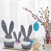 HERZWILD Felt Rabbit Stand for Easter, Easter Bunny Figure Wooden