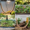 Tniytru Reptile Accessories, Climbing Vines for Reptiles with Hooks and