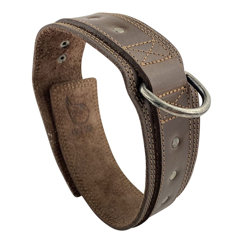 Taco Dog, Double Layer Dog Collar Handmade from Thick Full