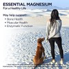 KAL Magnesium Glycinate Tablets, Fully Chelated, High Absorption Formula with