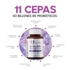 MegaBiotic Probióticos 60 Billones y 11 Cepas| 100 cápsulas|570mg p/porción