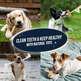 4 Pack Coffee Wood Dog Chew, Wood Tug, Rope Tug & Rope For Small & Medium Dog 15-40 lbs, 100% Natural Teething Toys, Cotton Rope Toy to Keep Them Busy, Organic dog toy, Relieve Stress - Wooden Toy