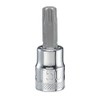 DEWALT 3/8" Drive T50 TORX Socket