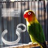 10Pcs Parrot Foot Ring, Anti Erosion Stainless Steel Birds Training