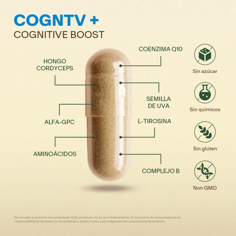 Vital Botanics Suplemento Alimenticio Nootrópico Multivitamínico Mujer Hombre Vitaminas Teanina