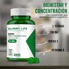 Gummy Life - Néurus 60 Gomitas Omega 3, L-teanina, Colina