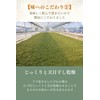Japanese Biwa Tea, 0.07 oz (2 g) x 30 Packets,