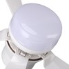 Greensen Ceiling Fan Light Dimmable Ceiling Lamp with Fan Modern