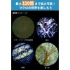 Kenko STV-120M Do/Nature Microscope, 60-120x, Built-in LED Light, Compact and