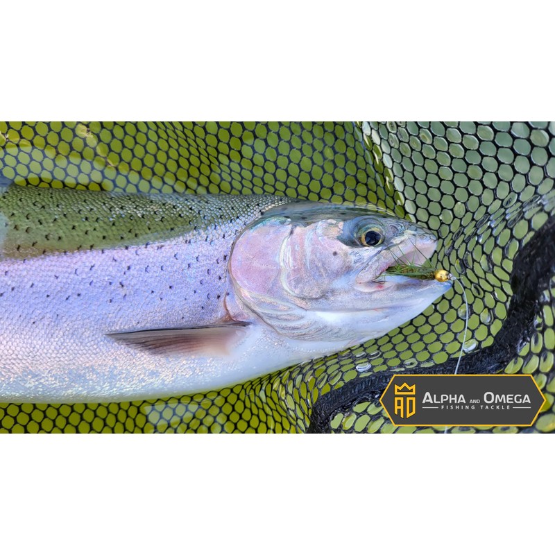 ALPHA and OMEGA - Woolly Bugger Fly KIT (20 Flies)