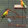 6 PCS Bird Perch, Natural Parrot Perch, Grape Wood Stands,