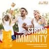 Joyli Superfruit Gummies - Sugar-Free Fruit Multivitamin Gummies for Adults